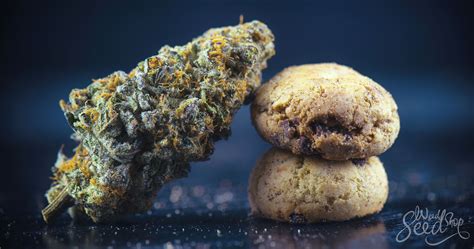 Top 15 Cannabis Edibles On The Market Weedseedshop