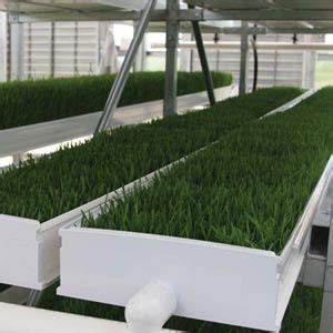 Home Farmtek Hydroponic Fodder Systems Farming Growing Supplies