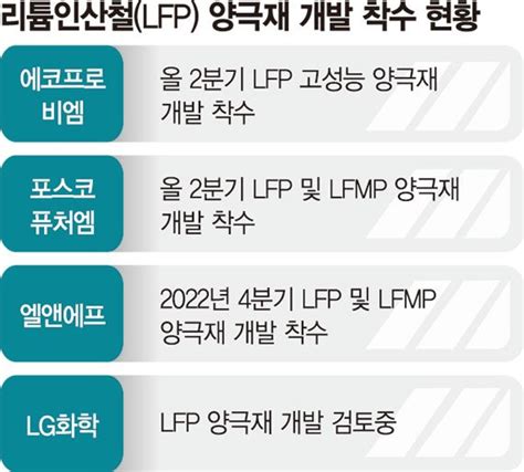 中 잡아라 K배터리 Lfp 양극재 개발 속도낸다 파이낸셜뉴스