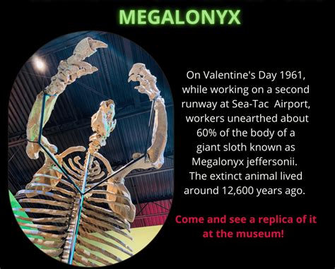 Megalonyx - Highline Heritage Museum