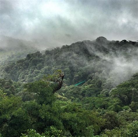 Make The Best Of Your Monteverde Cloud Forest Experience Enchanting