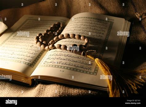 Koran Makro Fotos Und Bildmaterial In Hoher Aufl Sung Alamy