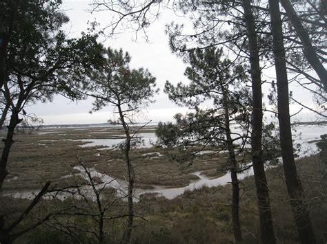 Reserve Naturelle Des Pres Sales Conservatoire Du Littoral