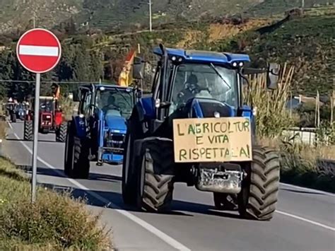 Montelepre Consiglio Comunale A Sostegno Degli Agricoltori