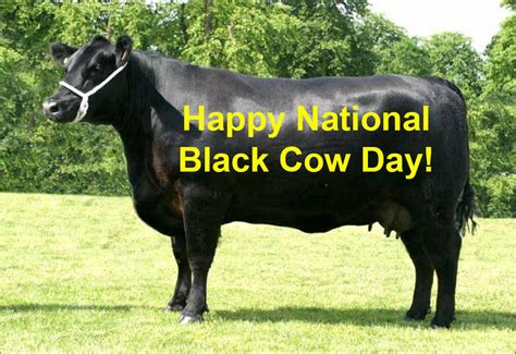 Happy National Black Cow Day By Uranimated18 On Deviantart