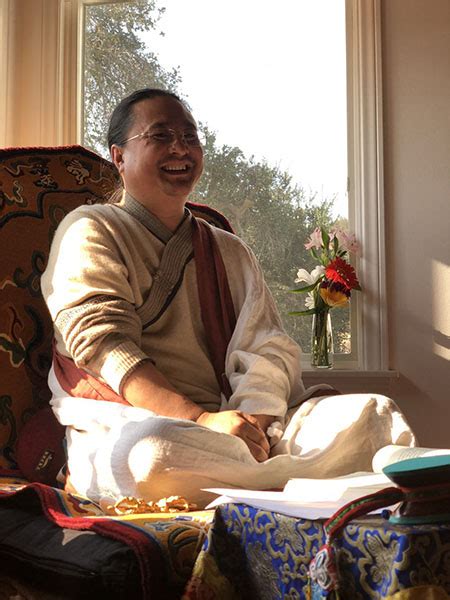 Школа Тибетской медицины