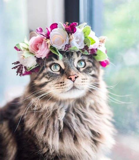 This Woman Takes The Most Breathtaking Photos Of Her Cats Wearing Floral Crowns Like True Queens