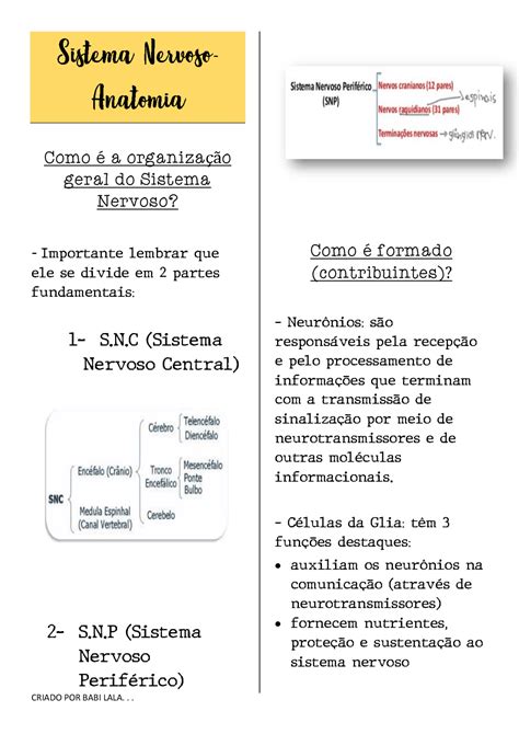 Resumo De Neuroanatomia Para Enfermagem Resumos Neuroanatomia Docsity