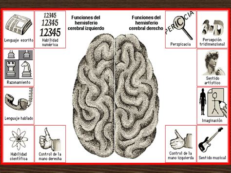 El Cerebro Triuno Ppt