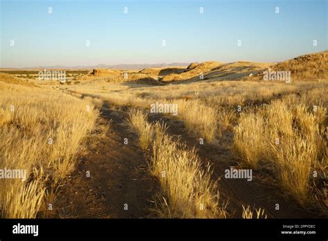 Gravel Road Leading Far To The Distance And Horizon Of The Namibian