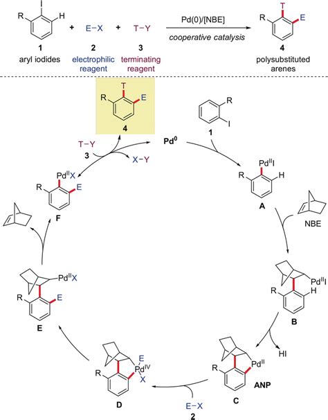 Traditional Pd Initiated Catellanitype Reaction And Suggested