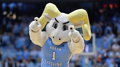 What Is A Tar Heel Explaining Uncs Nickname And Mascot History Origin