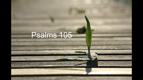 Psalms 105 YouTube