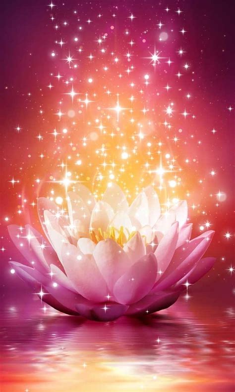 A Pink Lotus Flower Floating On Top Of Water With Stars In The Sky Above It