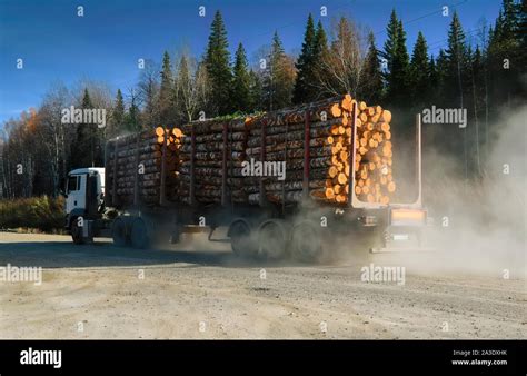 Logging Truck Carrying Logs Hi Res Stock Photography And Images Alamy