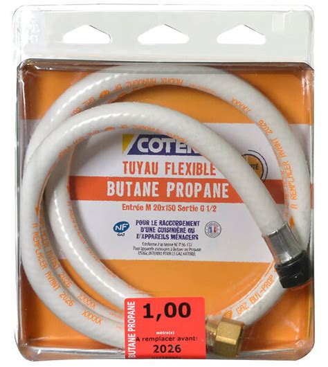 Flexible Butane Propane Ans Embouts Visser M Nf Bricorama