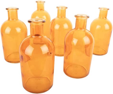 Koyal Wholesale Glass Bud Vases Small Apothecary Bottles