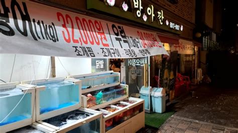 서판교 운중동 맛집가성비갑 횟집 방아깐 네이버 블로그