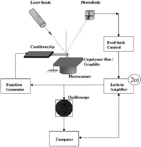 Experimental set-up for the local electrostriction-activity measurement ...