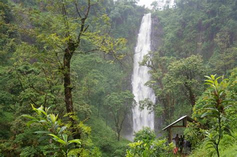 Day Trip Safari Mount Kilimanjaro Adventures