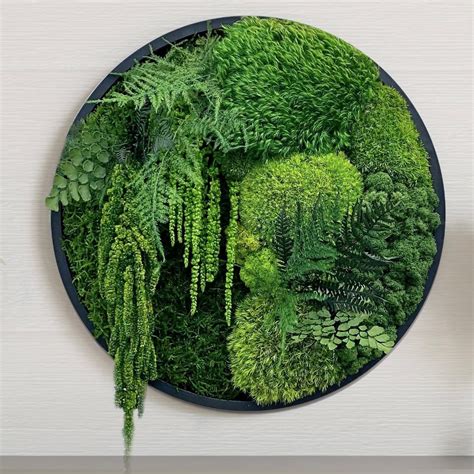 Round Moss Wall Art Forest Gardeners Emporium