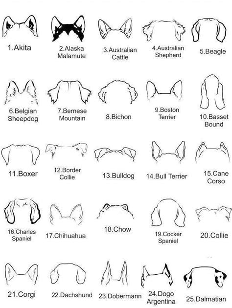 Dog ear sign dog ear outline dog corner dog accessories dog corner dog ...