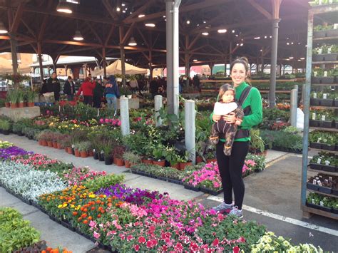 7 Tips For Farmers Market Shopping Mom To Mom Nutrition