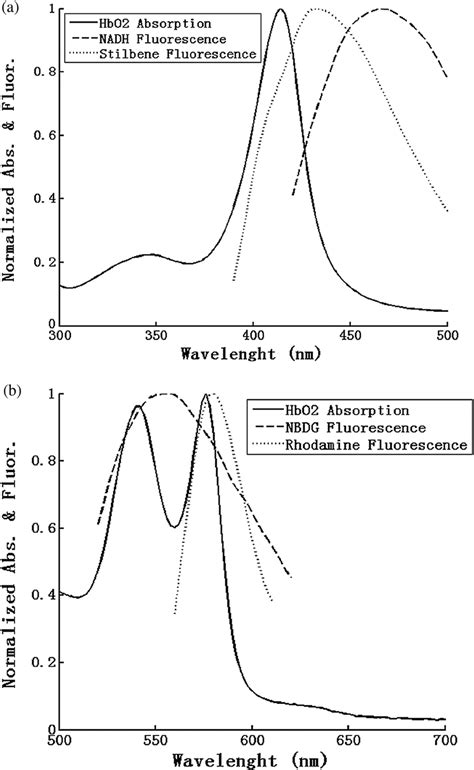 A Normalized Hbo 2 Absorption Spectrum Soret Band Region 380 To 430 Download Scientific