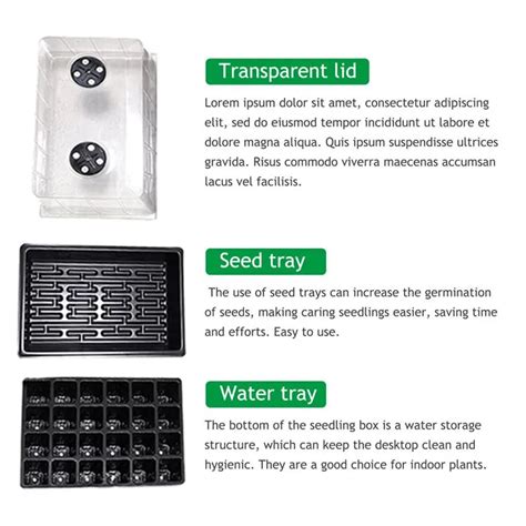 Seed Growing Kit