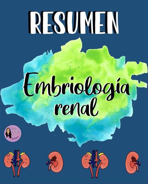 Embriología Renal Andrea Muñoz Udocz