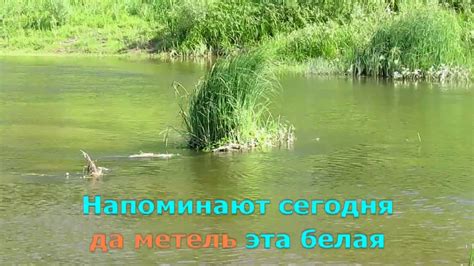 Белой акации гроздья душистые - YouTube