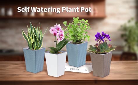 Amazon Oliz 2 Pieces 6 Inch Self Watering Planter Plastic Flower