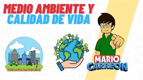 El Medio Ambiente Y La Calidad De Vida YouTube