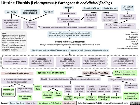 Pathophysiology Of Uterine Fibroids