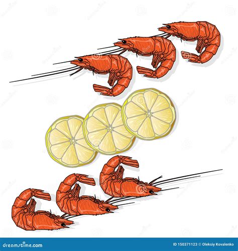 Red Cooked Prawn Or Tiger Shrimp Vector Illustration Isolated On White