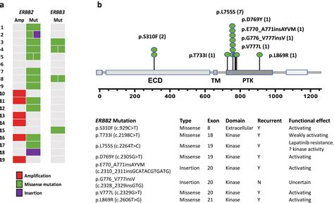 Genomic Profiling Of Pleomorphic And Florid Lobular Carcinoma In Situ