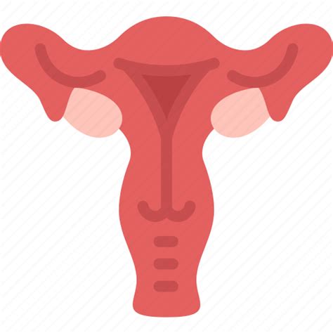 Reproductive Female Cervix Ovarian Gynecology Icon Download On