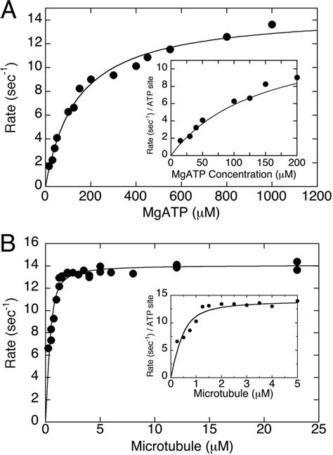 Steady State Atpase Kinetics The Mtkif Ab Complex Was Rapidly Mixed