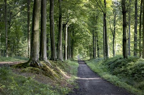 Taalgrens Wandelroute Wandelknooppunt Be