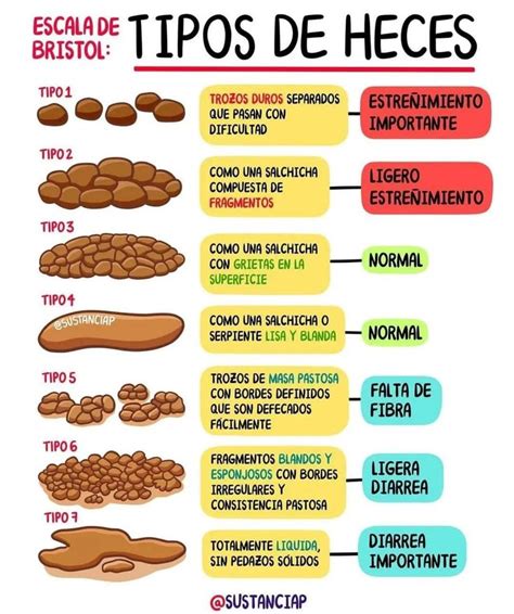 La escala de Bristol Información al completo