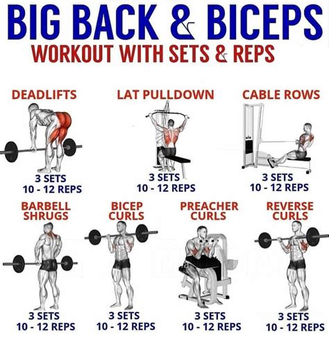 Effective Back And Biceps Workout