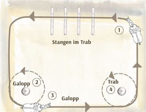 5 Stangentraining Kombiniert Mit Schulterherein Angelika Graf Verlag