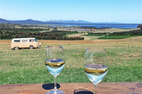 Savouring East Coast Tasmanias Wine Trail East Coast Tasmania