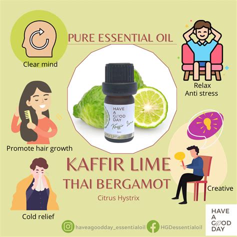 Kaffir Lime Essential Oil Aroma Therapy Grade Line Shopping