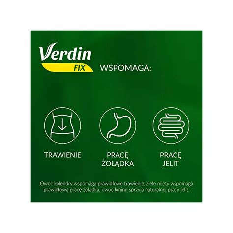 Verdin Fix Z Zielon Herbat Saszetki Sztuk Sk Ad Cena Opinie