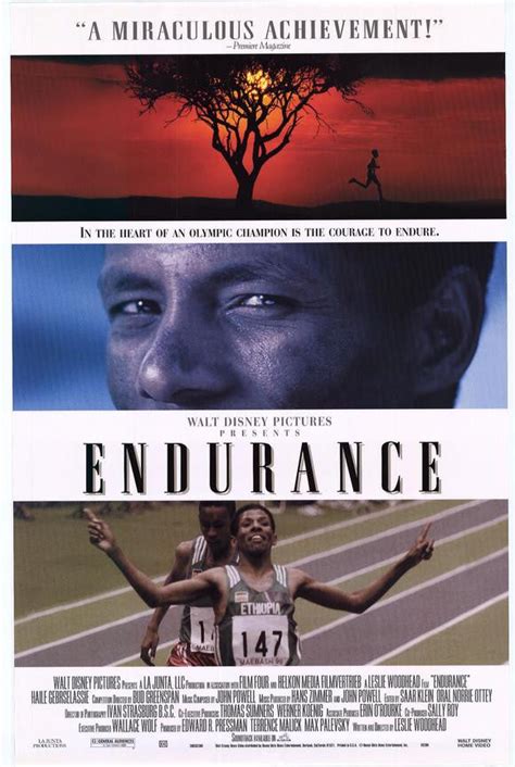 Endurance Movie Poster 27x40 (1999) Used Disney – Mason City Poster Company