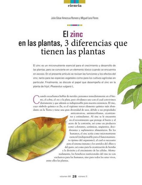 El Zinc En Las Plantas Diferencias Que Tienen Las Plantas Biolog A