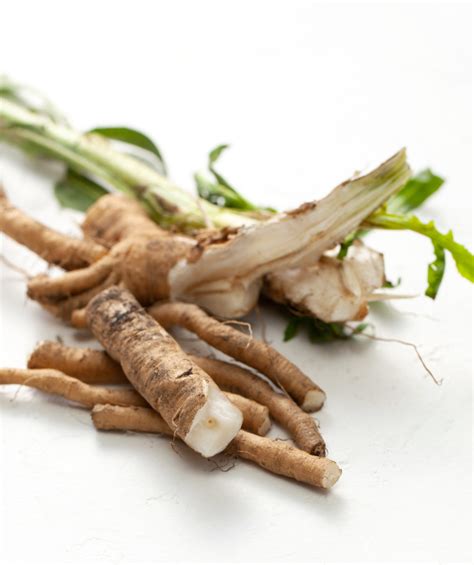 Chicory Root