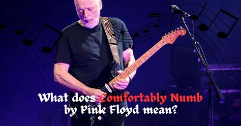 What Does Comfortably Numb By Pink Floyd Mean Otherbrick