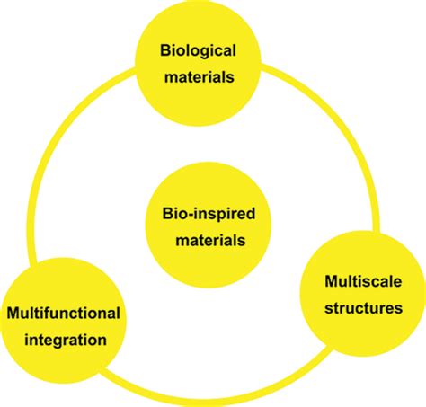 Multifunctional Integration From Biological To Bio Inspired Materials